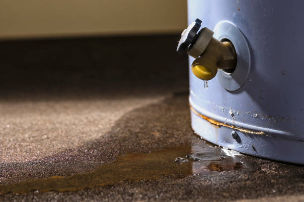 Best Water damage restoration near me  in Newark, TX