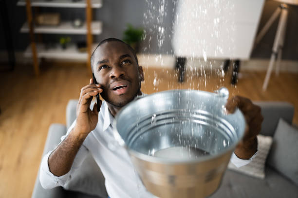 Best Carpet water damage restoration  in Newark, TX
