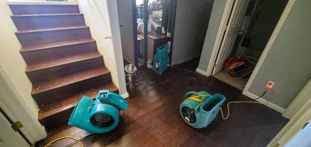 Best Water damage restoration near me  in Newark, TX
