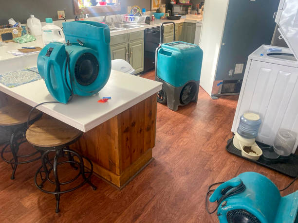 Best Flood damage cleanup  in Newark, TX