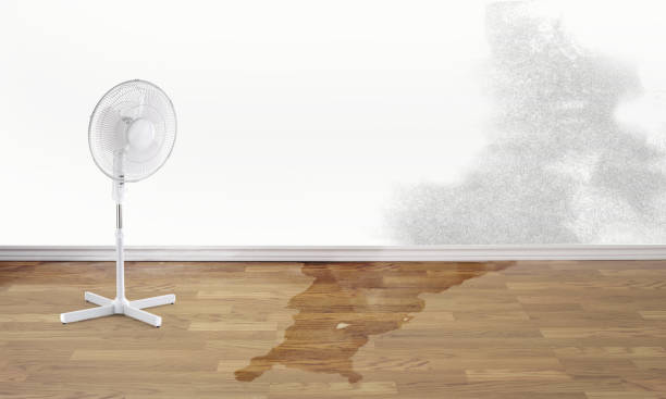 Best Water damage restoration mold remediation  in Newark, TX