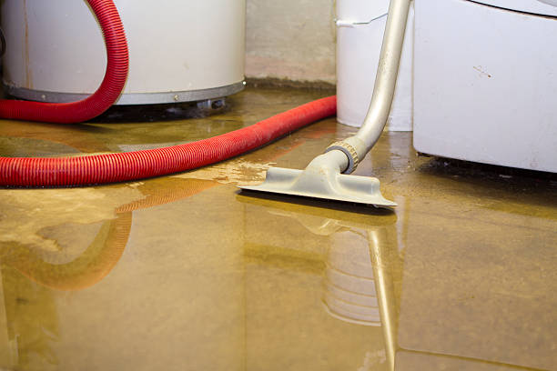 Best Fire Damage Restoration  in Newark, TX