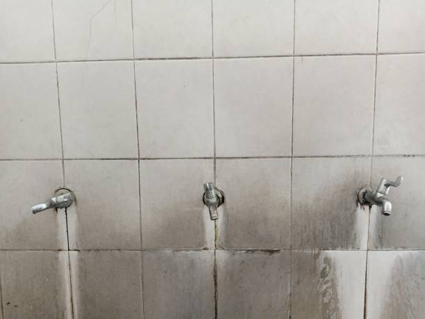 Best Flooded house restoration  in Newark, TX