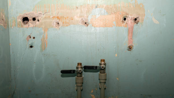 Best Fire Damage Restoration  in Newark, TX