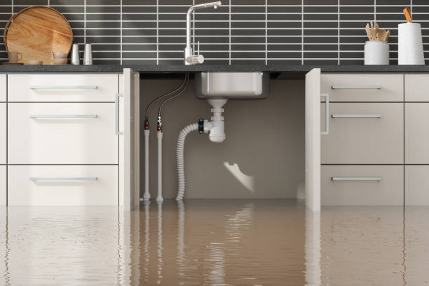 Best Water damage contractors near me  in Newark, TX