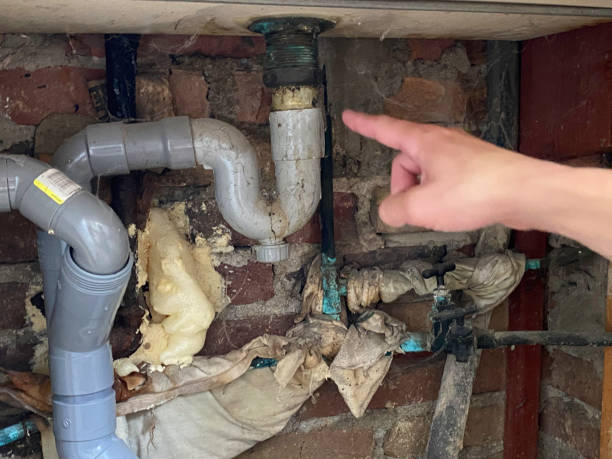 Best Water damage contractors near me  in Newark, TX