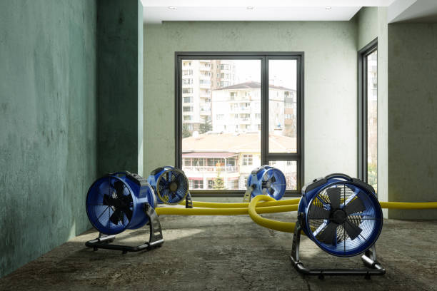 Best Commercial water damage restoration  in Newark, TX