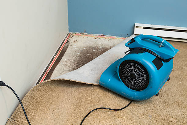 Best Flood restoration services  in Newark, TX